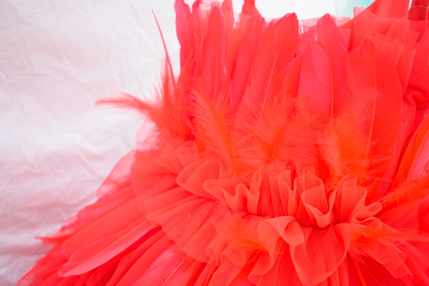 Red Feather Dress