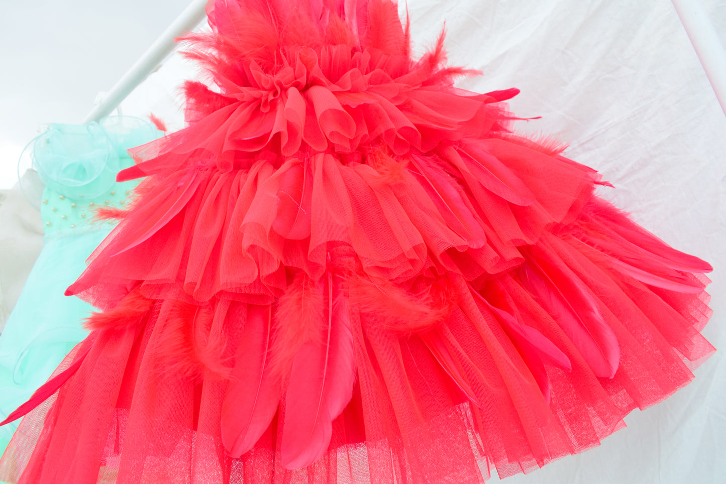 Red Feather Dress