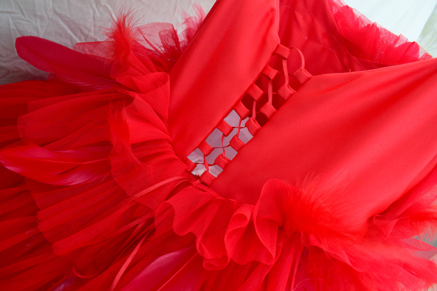 Red Feather Dress