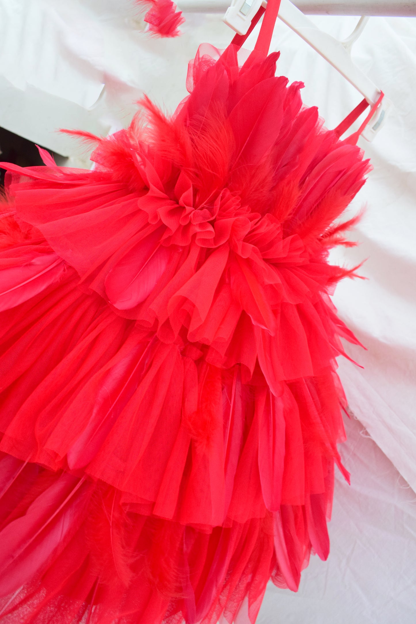 Red Feather Dress