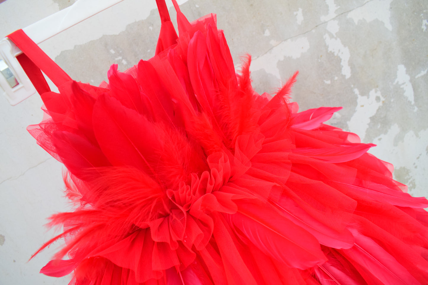 Red Feather Dress