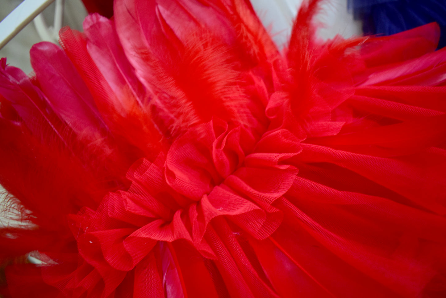 Red Feather Dress