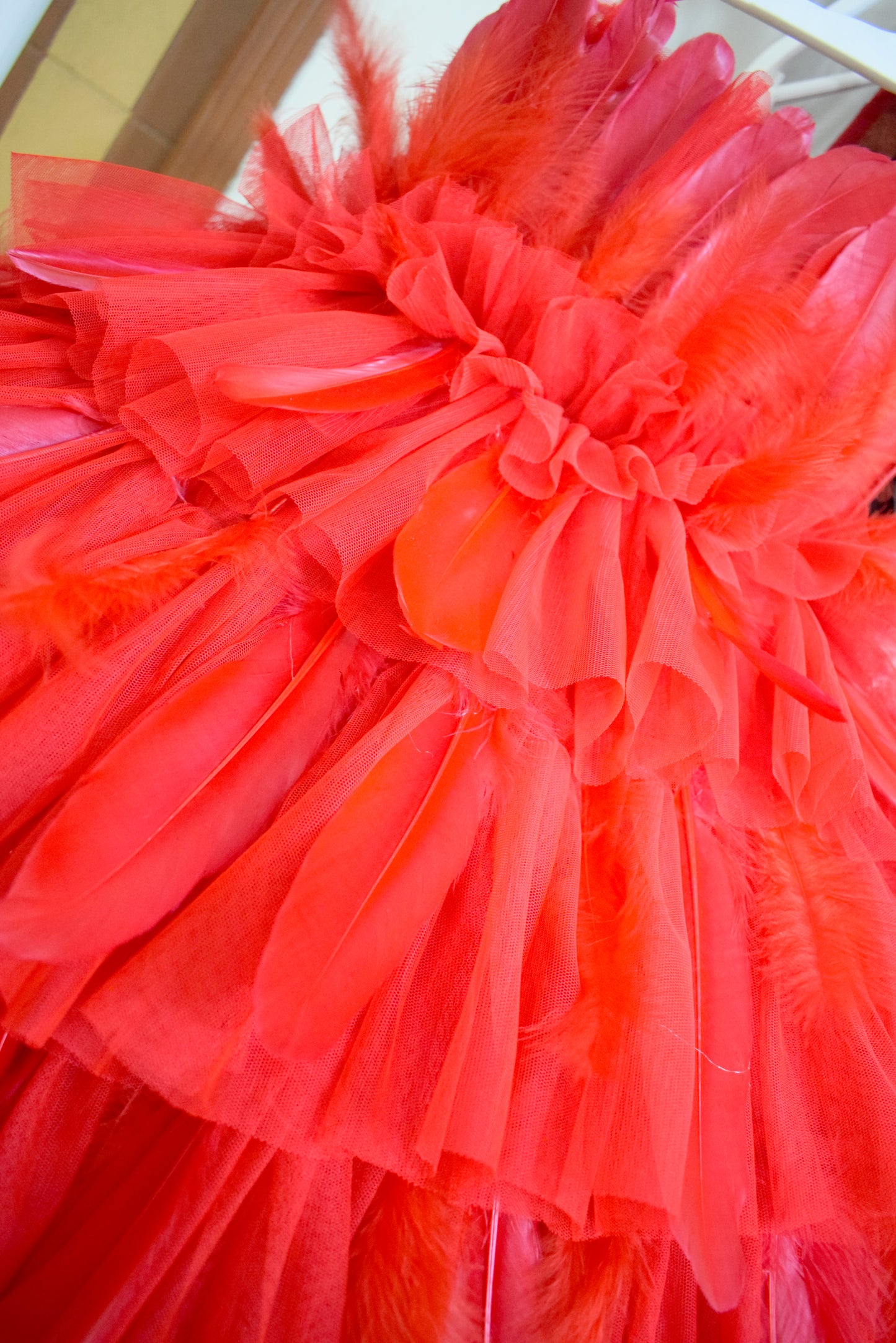 Red Feather Dress