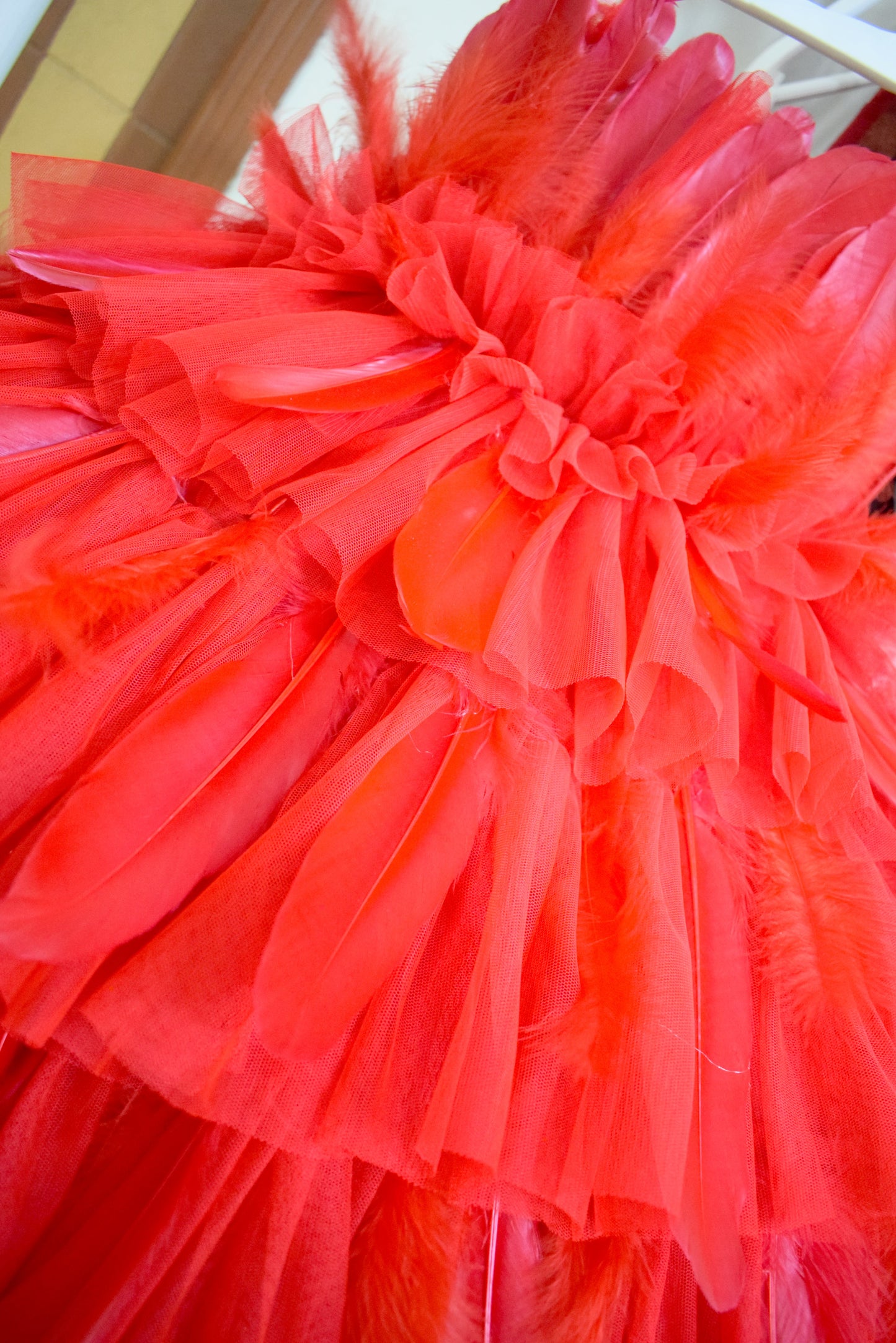 Red Feather Dress