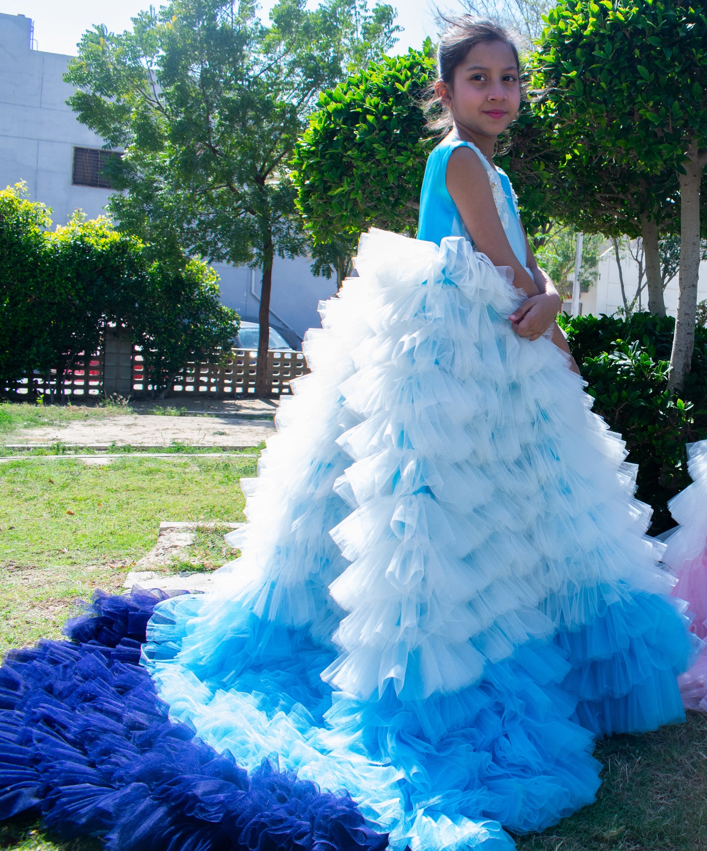 Swan Dresses