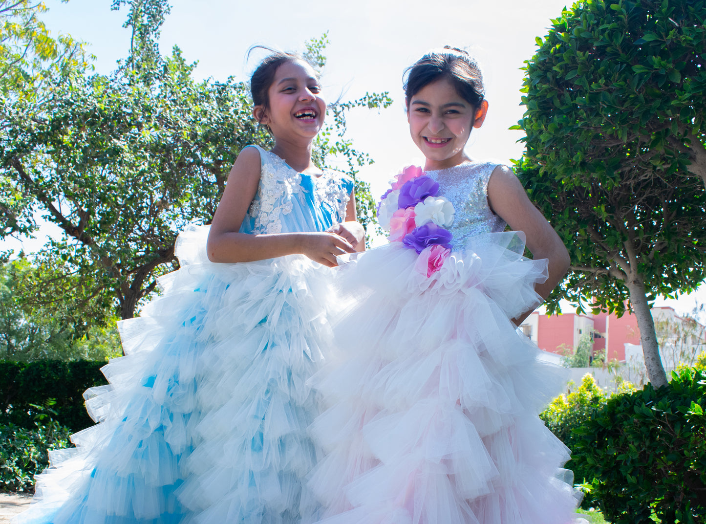 Swan Dresses