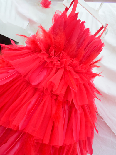 Red Feather Dress