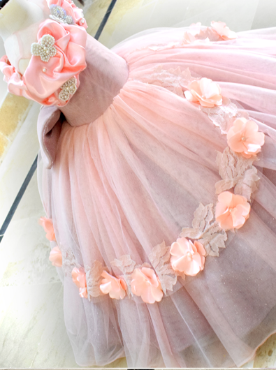 Pale pink Ball Gown